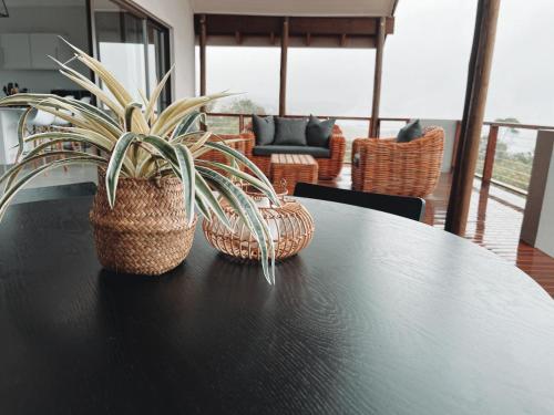 a table with two potted plants on top of it at Silverstreams Lodge, Villas & Cottages, Oribi Gorge in Glendale