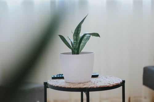 Fotografie z fotogalerie ubytování Studio apartman KaNa v destinaci Gospić