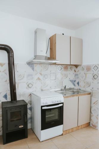 Kuchyň nebo kuchyňský kout v ubytování Studio apartman KaNa