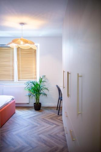 a bedroom with a potted plant and a window at Apartament Mikołowska z balkonem in Gliwice