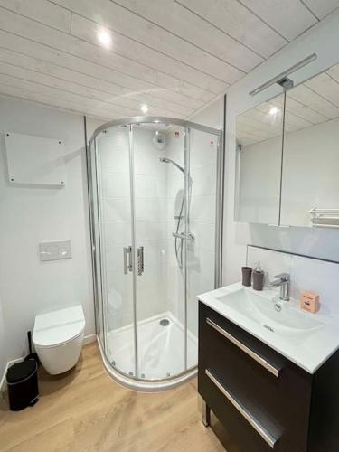 une salle de bain avec une douche, des toilettes et un lavabo dans l'établissement La Mouette, studio niché au coeur d'Arago, à La Rudelière