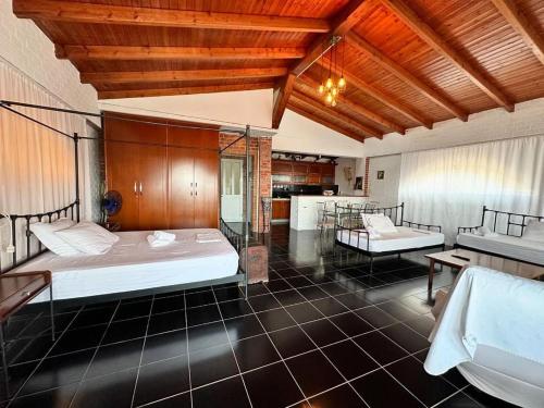 a large room with a bed and a kitchen at Polyxeni Apartments & Rooms in Qeparo