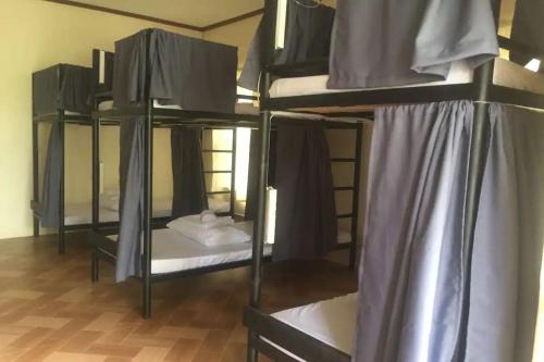 a group of four bunk beds in a room at Avila's Hostel Moalboal near Beach in Basdiot