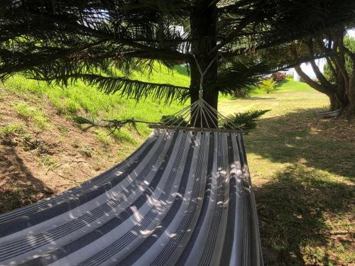 a hammock under a tree in a park at Vivenda Flor in Ponta Delgada