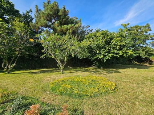 a field of grass with trees and yellow flowers at La Maison des Saveurs in Trouville-sur-Mer