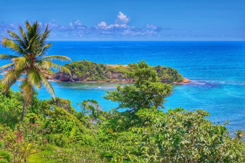 an island with a palm tree and the ocean at Blue Whale Villa - Penthouse in Calibishie