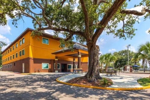 a yellow building with a tree in front of it at Days Inn by Wyndham Biloxi Beach in Biloxi