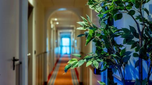 a hallway with a potted plant in a hallway at Albergo Ligabue in Gualtieri