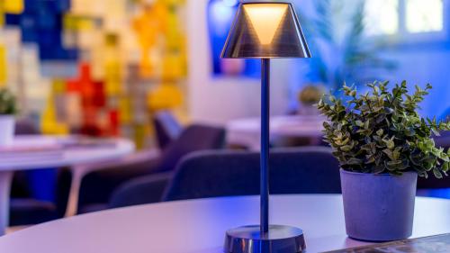 a lamp sitting on a table next to a potted plant at Albergo Ligabue in Gualtieri