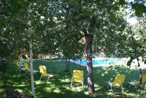 a group of chairs sitting under a tree near a pool at Cabañas Bordenieve in Las Trancas