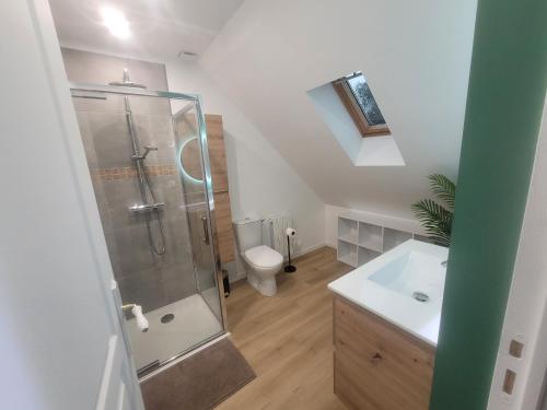 une salle de bain avec douche et toilettes dans l'établissement L'Escapade de Watten, à Watten