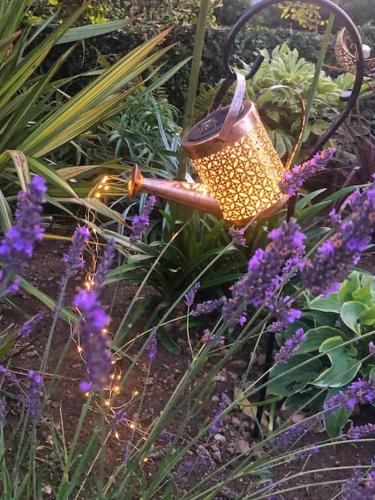 a garden with a bee keeper in the flowers at The Cuckoo's Retreat - Luxurious home with private garden & jacuzzi in Kenwyn