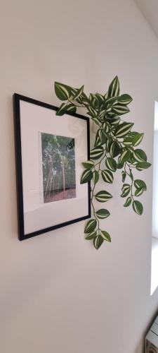 a picture frame on a wall next to a plant at Apartments in Graz in Graz