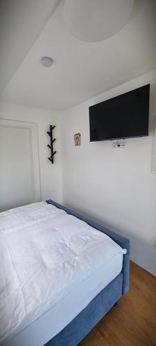 a bedroom with a bed and a flat screen tv at Apartments in Graz in Graz