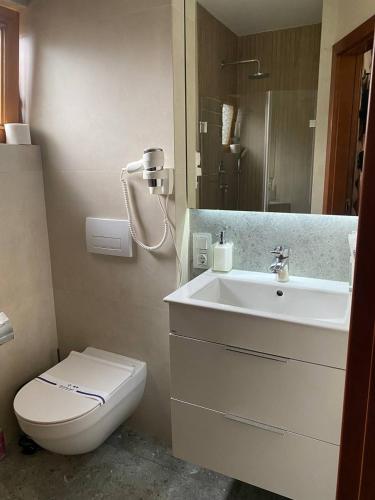 a bathroom with a toilet and a sink at Korona Hotel&SPA in Bukovel