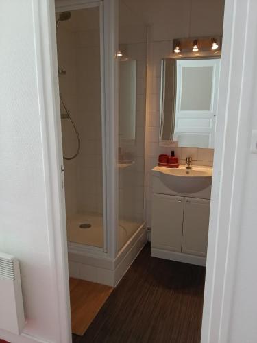 une salle de bain avec douche et lavabo dans l'établissement Appartement au cœur du patrimoine sézannais, à Sézanne