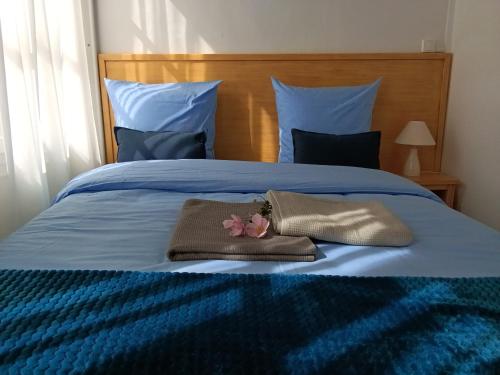 - un lit avec 2 oreillers et un animal rembourré dans l'établissement Appartement au cœur du patrimoine sézannais, à Sézanne