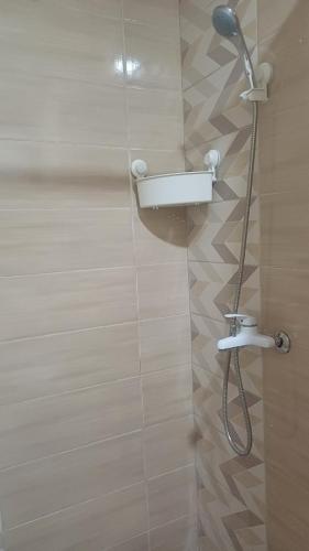 a shower with a shower head in a bathroom at Studio Mili in Malovići