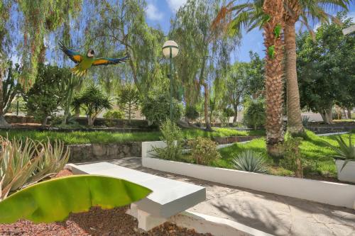 PARROT PARADISE STUDIO, WiFi, Smart Tv, Pool