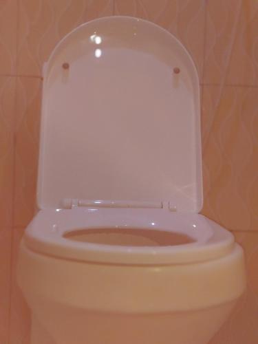 a white toilet with the lid up in a bathroom at Sero Safaris Hostel in Arusha