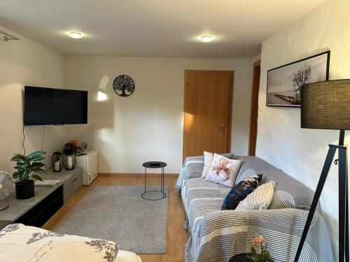 a living room with a couch and a tv at Wohnung in zentraler und trotzdem ruhiger Lage, Balzers in Balzers