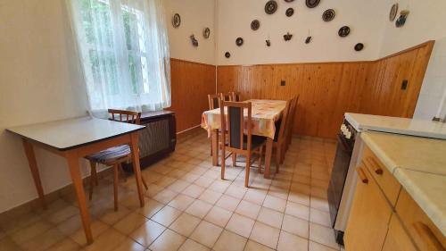 Kuchyňa alebo kuchynka v ubytovaní Apartment Balatonföldvar - Balaton 18521