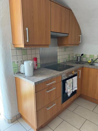 Kuchyň nebo kuchyňský kout v ubytování Apartment Theresa, Rauris