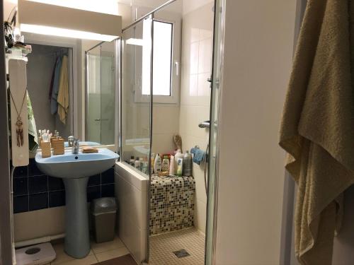 une salle de bain avec un lavabo et une douche avec un lavabo dans l'établissement Appartement dans quartier calme avec petit jardin, à Montpellier