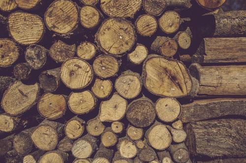 a pile of wooden logs in a wood pile at Langhe Country House in Neive