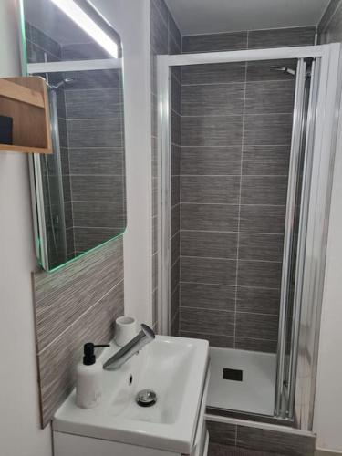 une salle de bain avec un lavabo blanc et une douche dans l'établissement appartement agréable, à Guérande