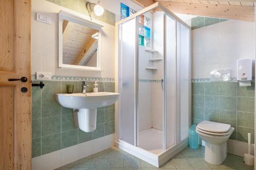 a bathroom with a shower and a sink and a toilet at Agriturismo Malga Riondera in Ala