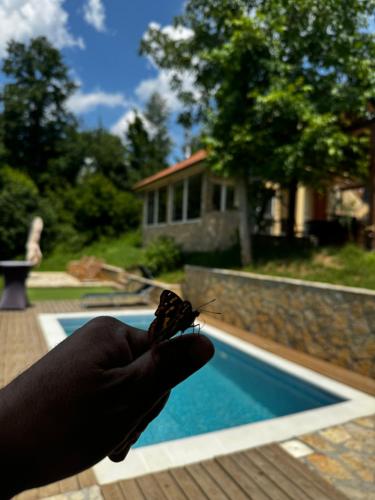 a person holding a butterfly sitting on a finger next to a pool at Šumska Vila Lipovica in Barajevo