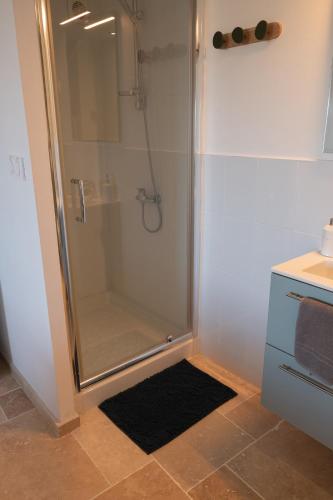 a shower with a glass door and a black rug at Les Deux Petits Pois in Fanjeaux