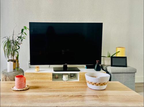 un salon avec une grande télévision sur une table dans l'établissement Spacieux 4 couchage plein centre, à Nice