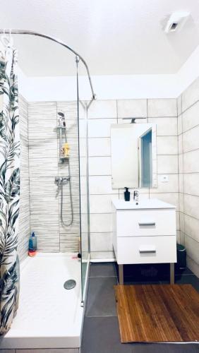 une salle de bain avec douche et lavabo dans l'établissement Spacieux 4 couchage plein centre, à Nice
