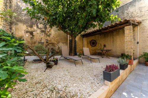 Zahrada ubytování Le Petit Cocon de Provence - Appt climatisé