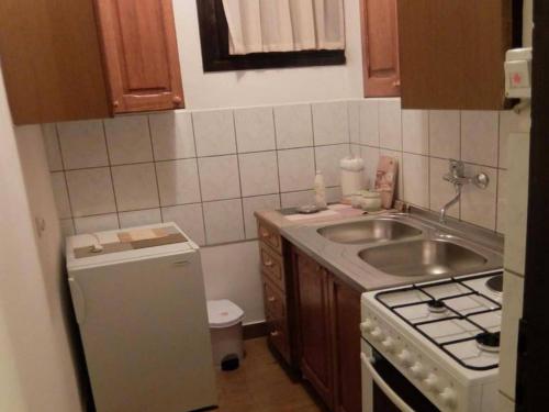 a small kitchen with a sink and a stove at Apartments & Rooms Renduli - One Bedroom Apartment with Balcony in Rakovica