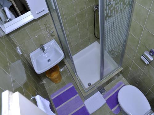 Apartments Profaca - One Bedroom Apartment with Terrace