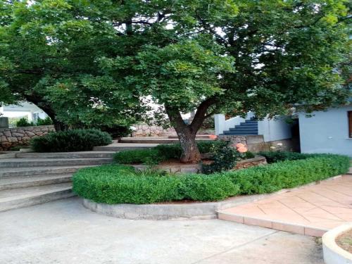 a tree sitting on top of a set of stairs at Apartments Paola - Studio Apartment with Terrace and Sea View in Karlobag