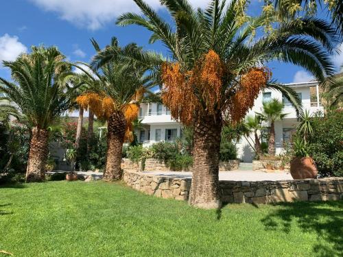 Κήπος έξω από το Hotel Plakures