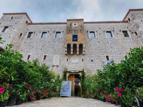 Dalmatian White Shell Apartment- Two Bedroom Apartment