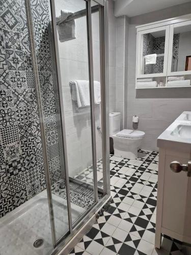 a bathroom with a glass shower and a toilet at Pensión San Pelayo 10 in Cangas de Onís