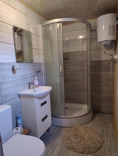a bathroom with a shower and a sink and a toilet at Domek nad jeziorem -Mazury- Linia Brzegowa in Piotrowice