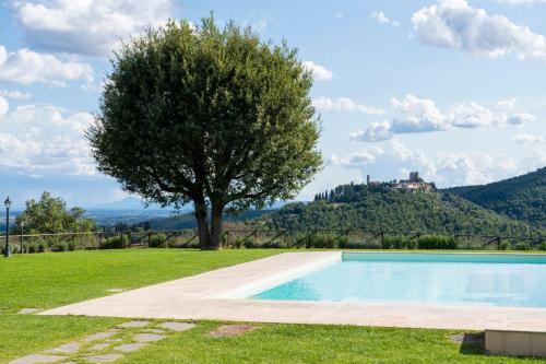 a swimming pool in a field with a tree at Casale La Querce in Civitella in Val di Chiana
