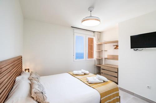 Sur Suites Palmeras 4