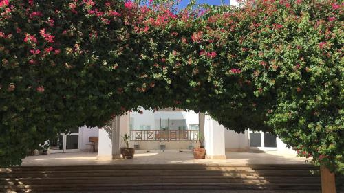 an arch with pink flowers in a courtyard at Blue Vision Diving Hotel in Marsa Alam City