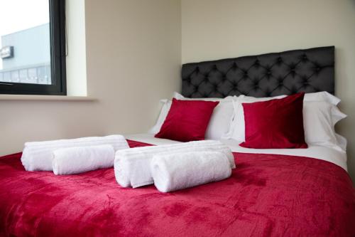 The Kaizen photo 61