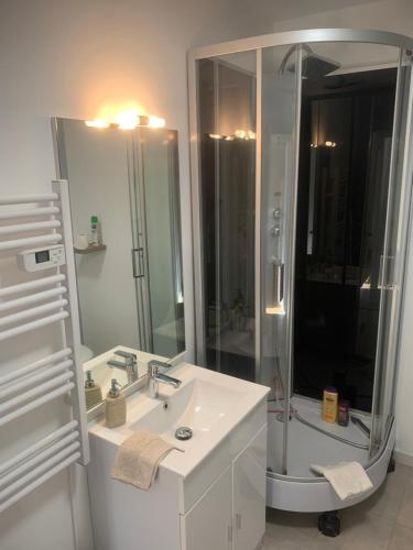 une salle de bain blanche avec une douche et un lavabo dans l'établissement Le petit Bailleux, à Braine