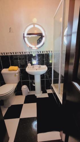 a bathroom with a sink and a toilet and a mirror at Riverview Georgian House in Donaghmore Bridge