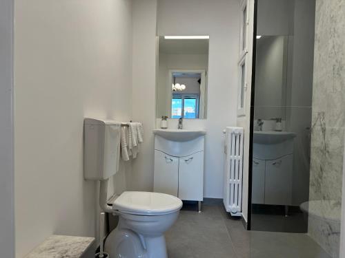 ein weißes Badezimmer mit Toilette und Waschbecken in der Unterkunft Airy & Beautiful Downtown Apartment in Bukarest